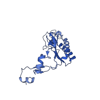 14479_7z3n_LI_v1-3
Cryo-EM structure of the ribosome-associated RAC complex on the 80S ribosome - RAC-1 conformation