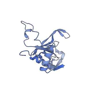 14479_7z3n_LJ_v1-3
Cryo-EM structure of the ribosome-associated RAC complex on the 80S ribosome - RAC-1 conformation