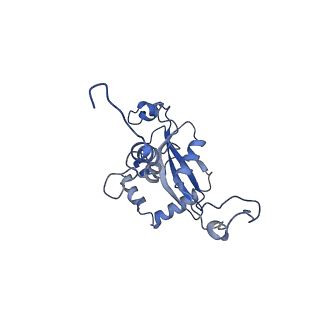 14479_7z3n_LN_v1-3
Cryo-EM structure of the ribosome-associated RAC complex on the 80S ribosome - RAC-1 conformation