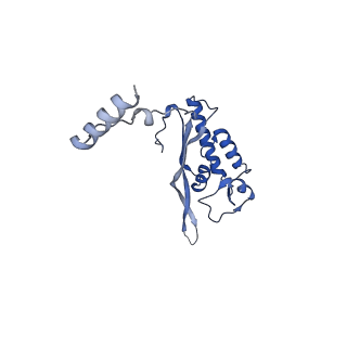 14479_7z3n_LP_v1-3
Cryo-EM structure of the ribosome-associated RAC complex on the 80S ribosome - RAC-1 conformation