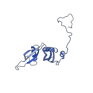 14479_7z3n_LS_v1-3
Cryo-EM structure of the ribosome-associated RAC complex on the 80S ribosome - RAC-1 conformation