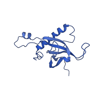 14479_7z3n_LZ_v1-3
Cryo-EM structure of the ribosome-associated RAC complex on the 80S ribosome - RAC-1 conformation