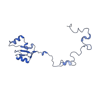 14479_7z3n_La_v1-3
Cryo-EM structure of the ribosome-associated RAC complex on the 80S ribosome - RAC-1 conformation