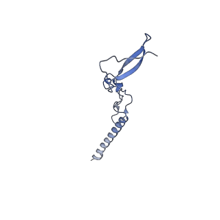 14479_7z3n_Lg_v1-3
Cryo-EM structure of the ribosome-associated RAC complex on the 80S ribosome - RAC-1 conformation
