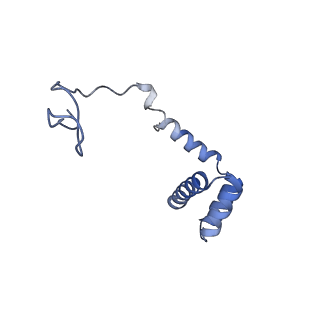 14479_7z3n_Li_v1-3
Cryo-EM structure of the ribosome-associated RAC complex on the 80S ribosome - RAC-1 conformation