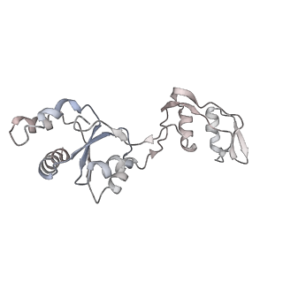 14479_7z3n_Ls_v1-3
Cryo-EM structure of the ribosome-associated RAC complex on the 80S ribosome - RAC-1 conformation