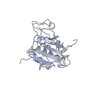 14479_7z3n_SA_v1-3
Cryo-EM structure of the ribosome-associated RAC complex on the 80S ribosome - RAC-1 conformation