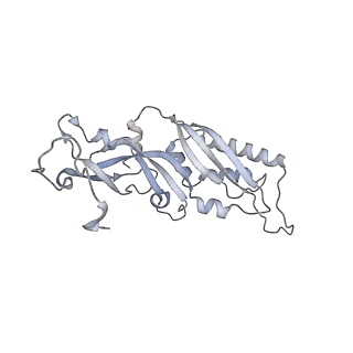 14479_7z3n_SB_v1-3
Cryo-EM structure of the ribosome-associated RAC complex on the 80S ribosome - RAC-1 conformation