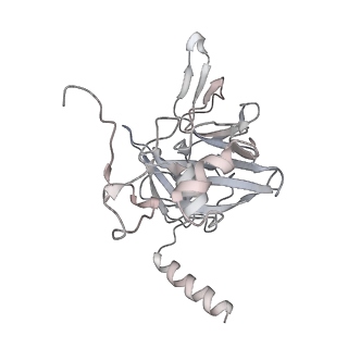 14479_7z3n_SE_v1-3
Cryo-EM structure of the ribosome-associated RAC complex on the 80S ribosome - RAC-1 conformation