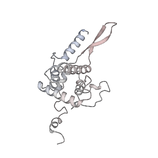14479_7z3n_SF_v1-3
Cryo-EM structure of the ribosome-associated RAC complex on the 80S ribosome - RAC-1 conformation