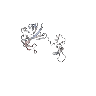 14479_7z3n_SG_v1-3
Cryo-EM structure of the ribosome-associated RAC complex on the 80S ribosome - RAC-1 conformation