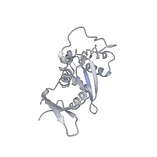 14479_7z3n_SH_v1-3
Cryo-EM structure of the ribosome-associated RAC complex on the 80S ribosome - RAC-1 conformation