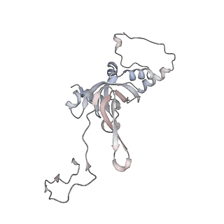 14479_7z3n_SI_v1-3
Cryo-EM structure of the ribosome-associated RAC complex on the 80S ribosome - RAC-1 conformation