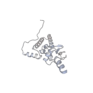 14479_7z3n_SJ_v1-3
Cryo-EM structure of the ribosome-associated RAC complex on the 80S ribosome - RAC-1 conformation