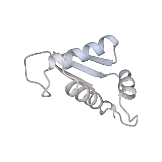 14479_7z3n_SK_v1-3
Cryo-EM structure of the ribosome-associated RAC complex on the 80S ribosome - RAC-1 conformation