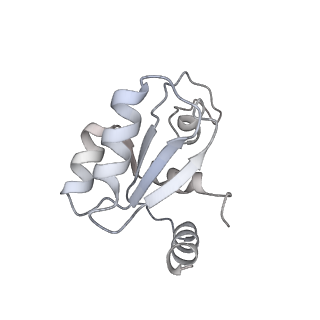 14479_7z3n_SM_v1-3
Cryo-EM structure of the ribosome-associated RAC complex on the 80S ribosome - RAC-1 conformation