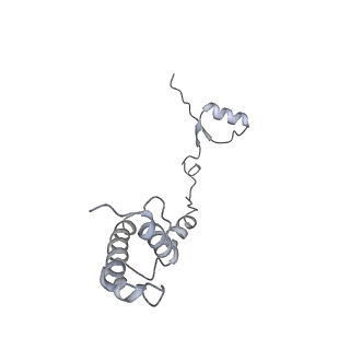 14479_7z3n_SR_v1-3
Cryo-EM structure of the ribosome-associated RAC complex on the 80S ribosome - RAC-1 conformation