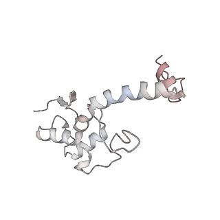 14479_7z3n_SS_v1-3
Cryo-EM structure of the ribosome-associated RAC complex on the 80S ribosome - RAC-1 conformation