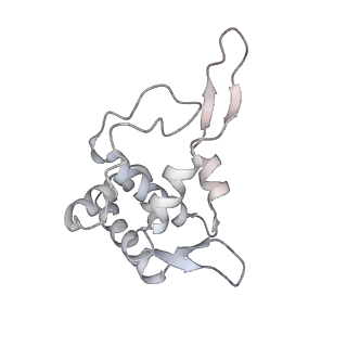 14479_7z3n_ST_v1-3
Cryo-EM structure of the ribosome-associated RAC complex on the 80S ribosome - RAC-1 conformation