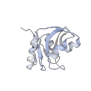 14479_7z3n_SW_v1-3
Cryo-EM structure of the ribosome-associated RAC complex on the 80S ribosome - RAC-1 conformation