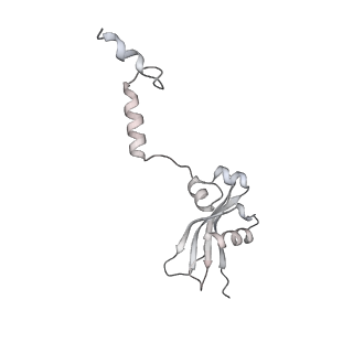 14479_7z3n_SY_v1-3
Cryo-EM structure of the ribosome-associated RAC complex on the 80S ribosome - RAC-1 conformation