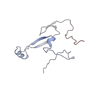 14479_7z3n_Sa_v1-3
Cryo-EM structure of the ribosome-associated RAC complex on the 80S ribosome - RAC-1 conformation