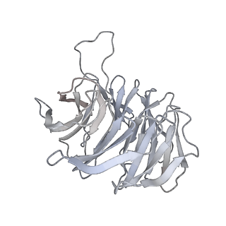 14480_7z3o_A_v1-3
Cryo-EM structure of the ribosome-associated RAC complex on the 80S ribosome - RAC-2 conformation