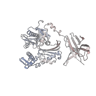 14480_7z3o_D_v1-3
Cryo-EM structure of the ribosome-associated RAC complex on the 80S ribosome - RAC-2 conformation