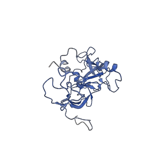 14480_7z3o_LA_v1-3
Cryo-EM structure of the ribosome-associated RAC complex on the 80S ribosome - RAC-2 conformation