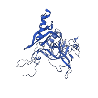 14480_7z3o_LB_v1-3
Cryo-EM structure of the ribosome-associated RAC complex on the 80S ribosome - RAC-2 conformation