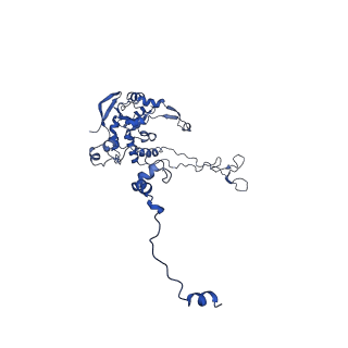 14480_7z3o_LC_v1-3
Cryo-EM structure of the ribosome-associated RAC complex on the 80S ribosome - RAC-2 conformation