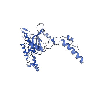 14480_7z3o_LD_v1-3
Cryo-EM structure of the ribosome-associated RAC complex on the 80S ribosome - RAC-2 conformation