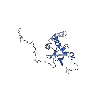14480_7z3o_LE_v1-3
Cryo-EM structure of the ribosome-associated RAC complex on the 80S ribosome - RAC-2 conformation