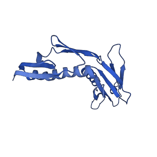 14480_7z3o_LH_v1-3
Cryo-EM structure of the ribosome-associated RAC complex on the 80S ribosome - RAC-2 conformation
