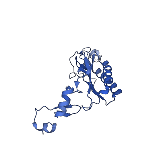 14480_7z3o_LI_v1-3
Cryo-EM structure of the ribosome-associated RAC complex on the 80S ribosome - RAC-2 conformation