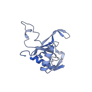 14480_7z3o_LJ_v1-3
Cryo-EM structure of the ribosome-associated RAC complex on the 80S ribosome - RAC-2 conformation