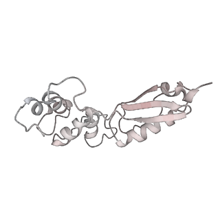 14480_7z3o_LK_v1-3
Cryo-EM structure of the ribosome-associated RAC complex on the 80S ribosome - RAC-2 conformation