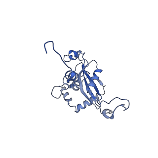 14480_7z3o_LN_v1-3
Cryo-EM structure of the ribosome-associated RAC complex on the 80S ribosome - RAC-2 conformation