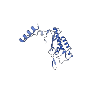 14480_7z3o_LP_v1-3
Cryo-EM structure of the ribosome-associated RAC complex on the 80S ribosome - RAC-2 conformation