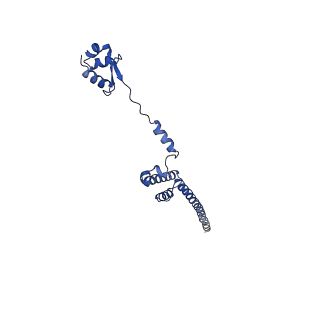 14480_7z3o_LR_v1-3
Cryo-EM structure of the ribosome-associated RAC complex on the 80S ribosome - RAC-2 conformation