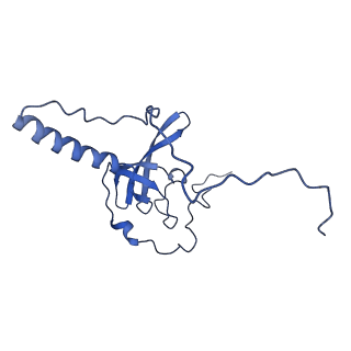 14480_7z3o_LT_v1-3
Cryo-EM structure of the ribosome-associated RAC complex on the 80S ribosome - RAC-2 conformation