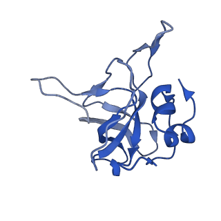 14480_7z3o_LV_v1-3
Cryo-EM structure of the ribosome-associated RAC complex on the 80S ribosome - RAC-2 conformation