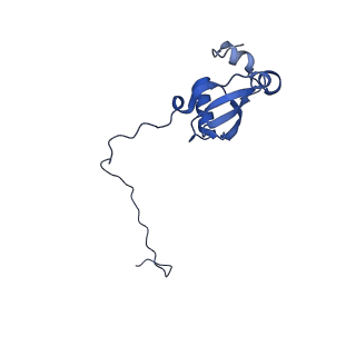14480_7z3o_LX_v1-3
Cryo-EM structure of the ribosome-associated RAC complex on the 80S ribosome - RAC-2 conformation