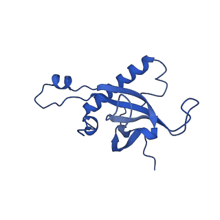 14480_7z3o_LZ_v1-3
Cryo-EM structure of the ribosome-associated RAC complex on the 80S ribosome - RAC-2 conformation