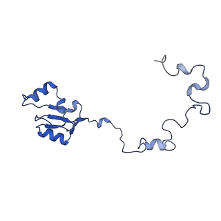 14480_7z3o_La_v1-3
Cryo-EM structure of the ribosome-associated RAC complex on the 80S ribosome - RAC-2 conformation