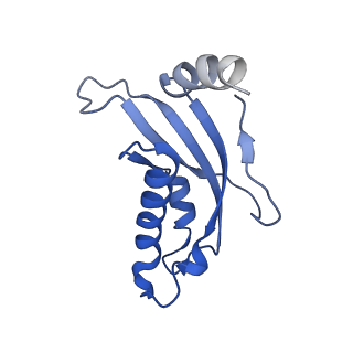 14480_7z3o_Ld_v1-3
Cryo-EM structure of the ribosome-associated RAC complex on the 80S ribosome - RAC-2 conformation