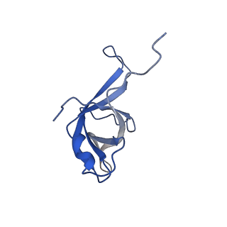 14480_7z3o_Lf_v1-3
Cryo-EM structure of the ribosome-associated RAC complex on the 80S ribosome - RAC-2 conformation
