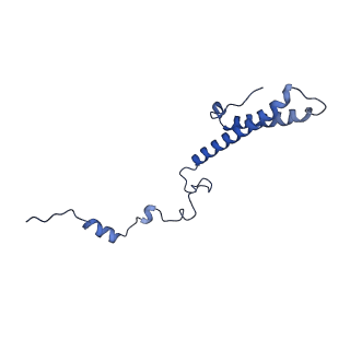 14480_7z3o_Lh_v1-3
Cryo-EM structure of the ribosome-associated RAC complex on the 80S ribosome - RAC-2 conformation