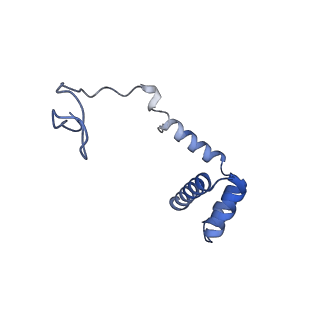 14480_7z3o_Li_v1-3
Cryo-EM structure of the ribosome-associated RAC complex on the 80S ribosome - RAC-2 conformation