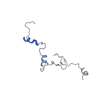 14480_7z3o_Lj_v1-3
Cryo-EM structure of the ribosome-associated RAC complex on the 80S ribosome - RAC-2 conformation
